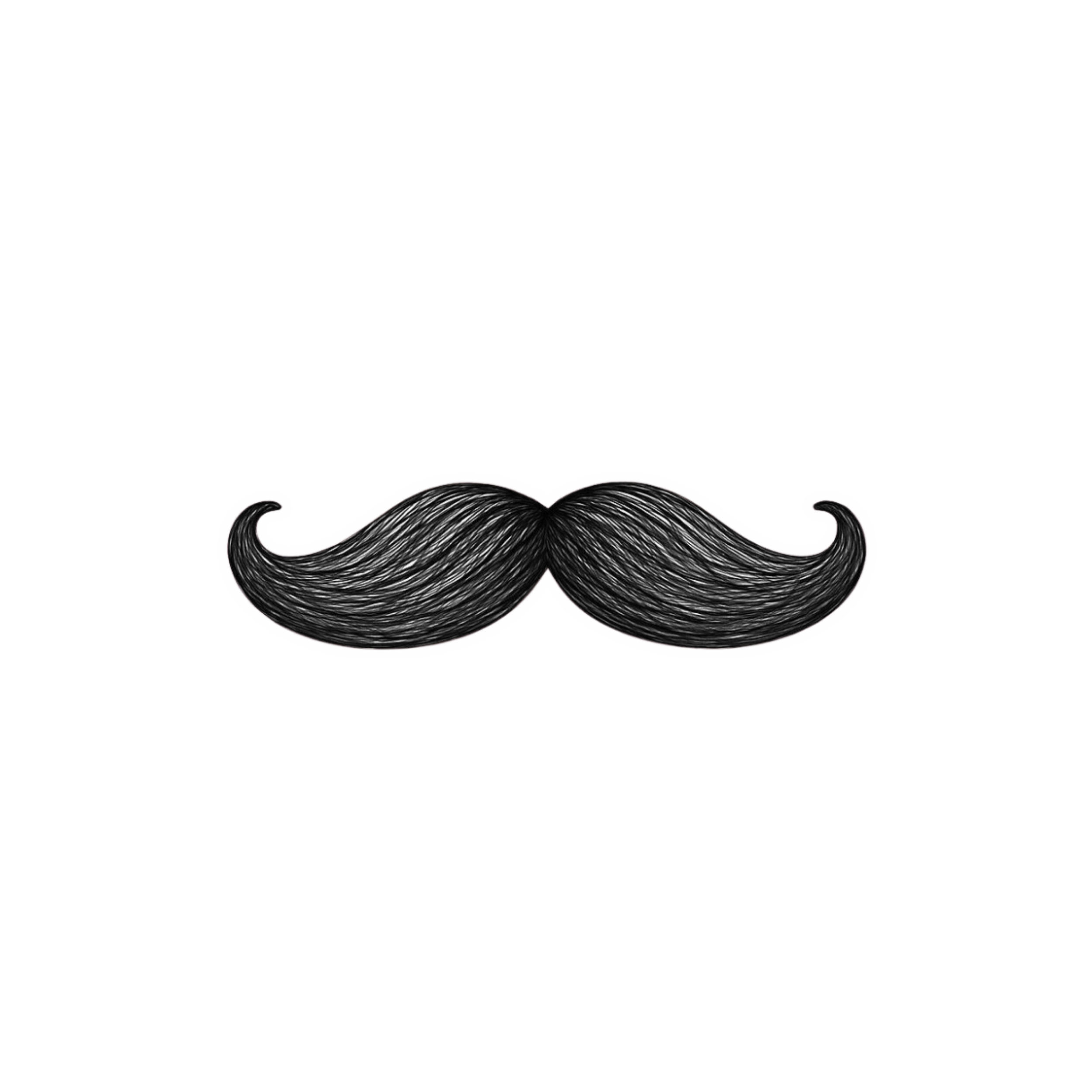 Mehfoodehrler